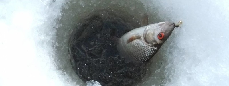 ACTIVE TOURS / LATVIA / ICE FISHING