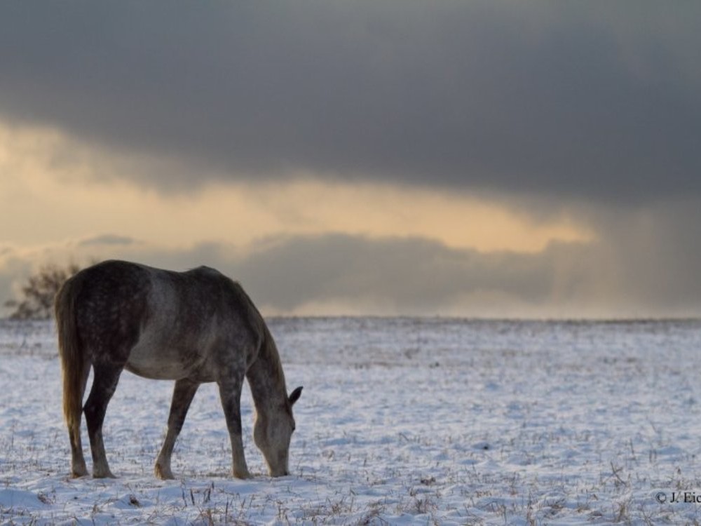 ESCURSIONI DI UN GIORNO / LETTONIA / VALMIERA