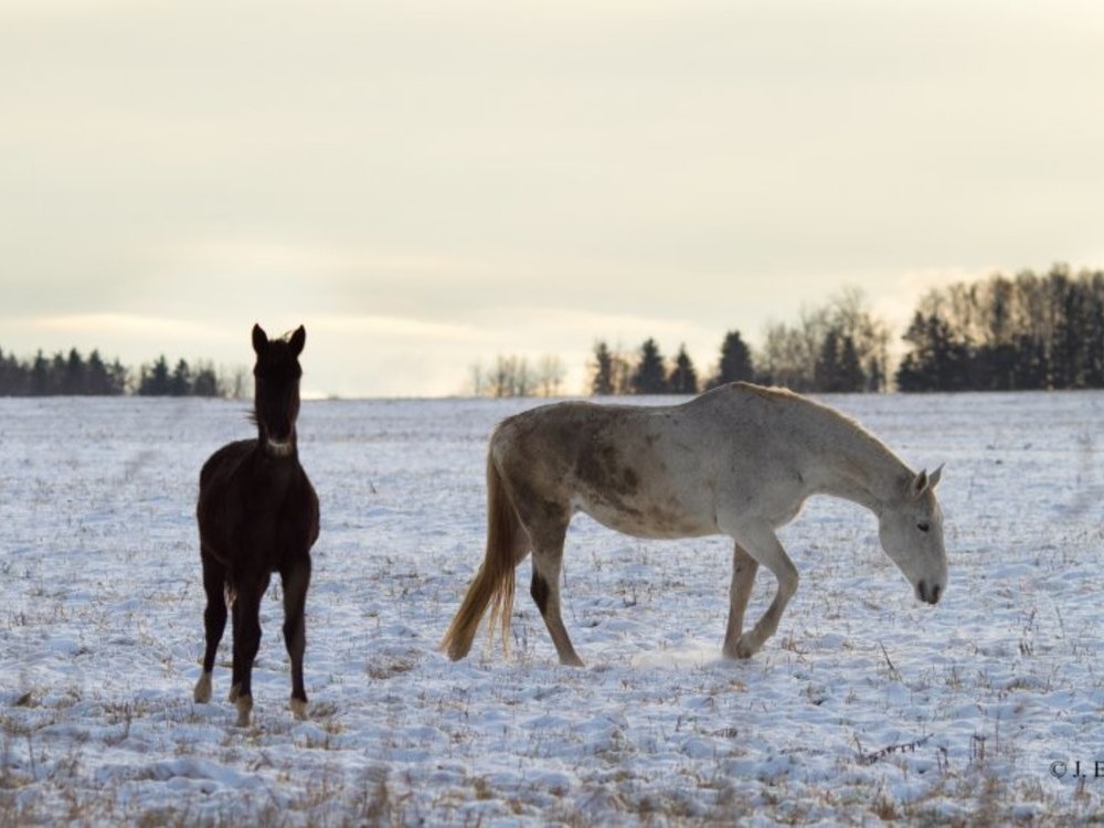 ESCURSIONI DI UN GIORNO / LETTONIA / VALMIERA